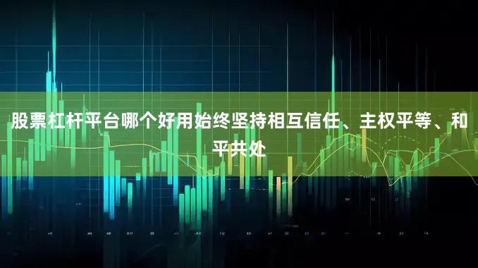 股票杠杆平台哪个好用始终坚持相互信任、主权平等、和平共处